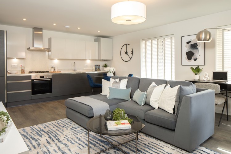 Kitchen / Living / Dining