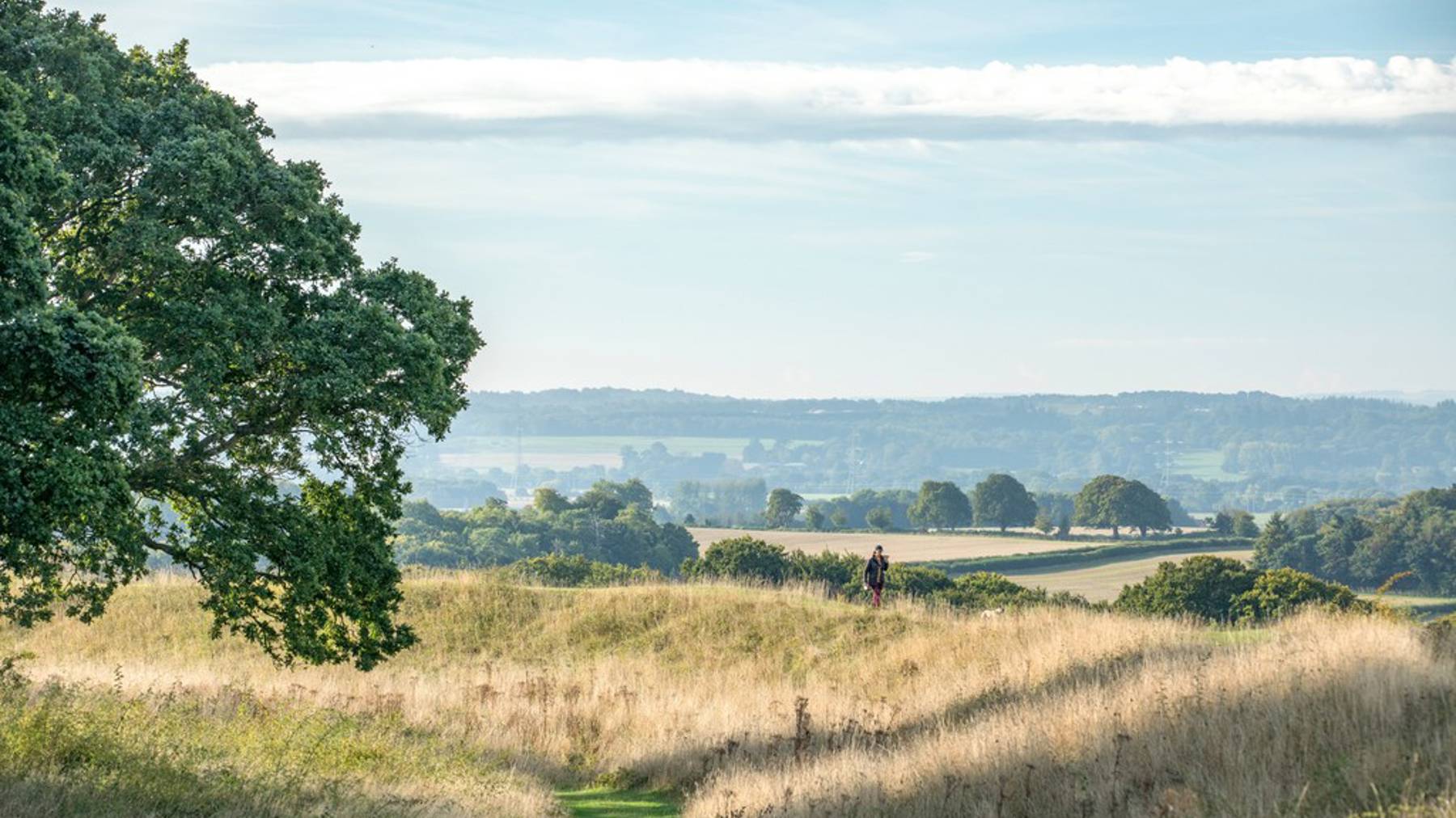 Local area photography in Wimborne and surrounding areas