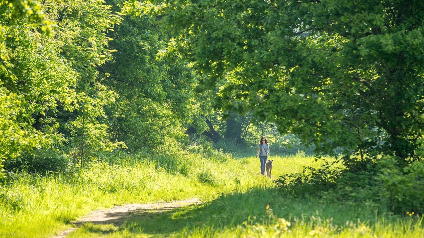 New homes in Deepcut
