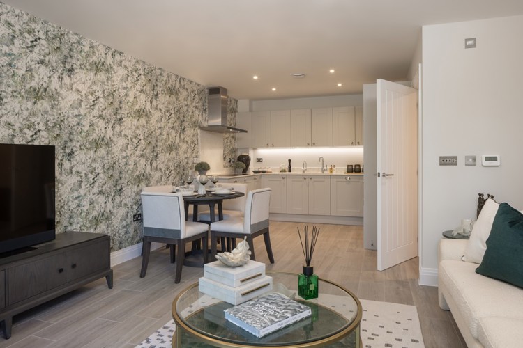 Kitchen / Living / Dining