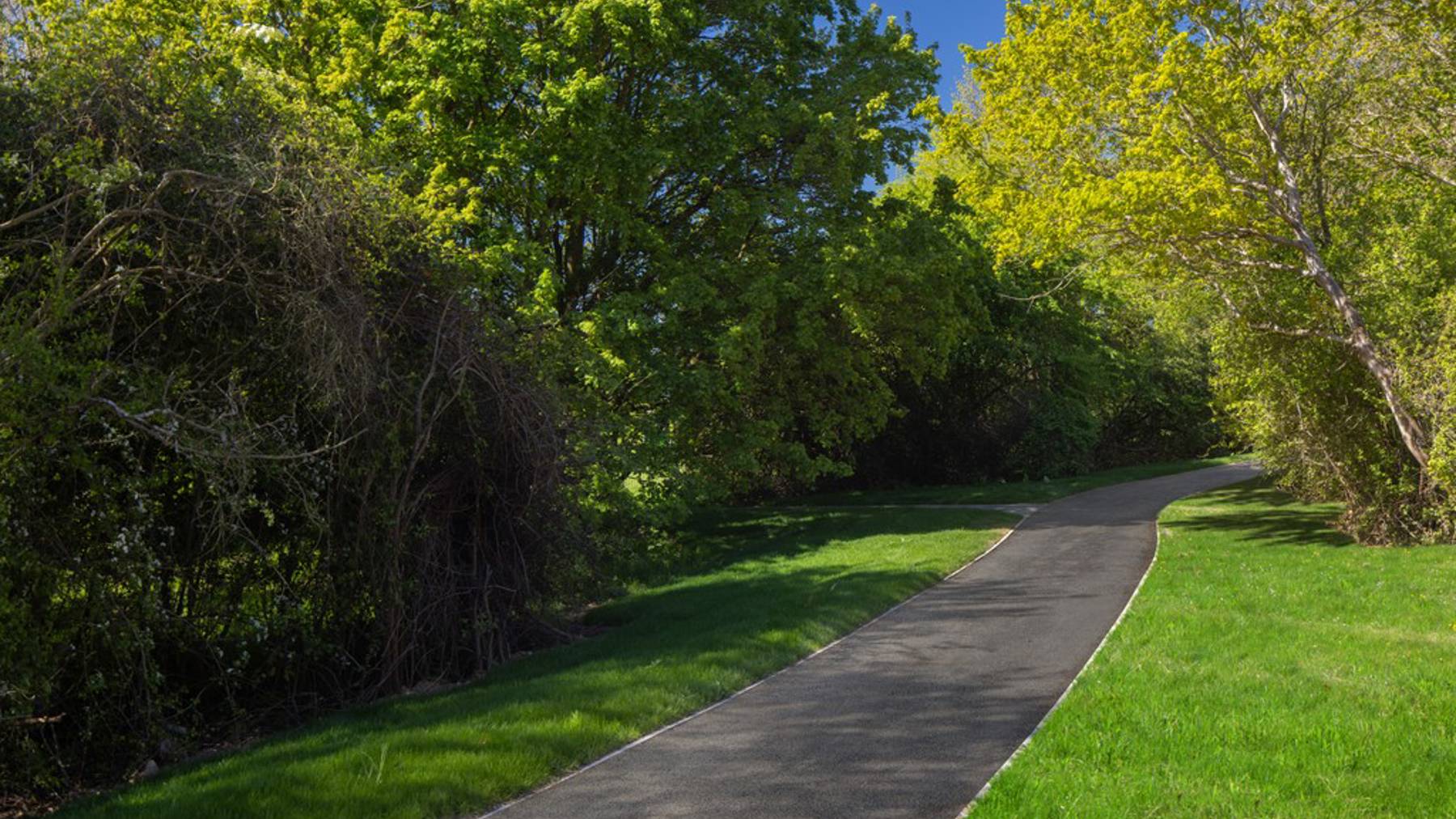 5 bedroom homes for sale newbury