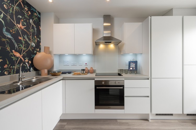 The Alder | Kitchen