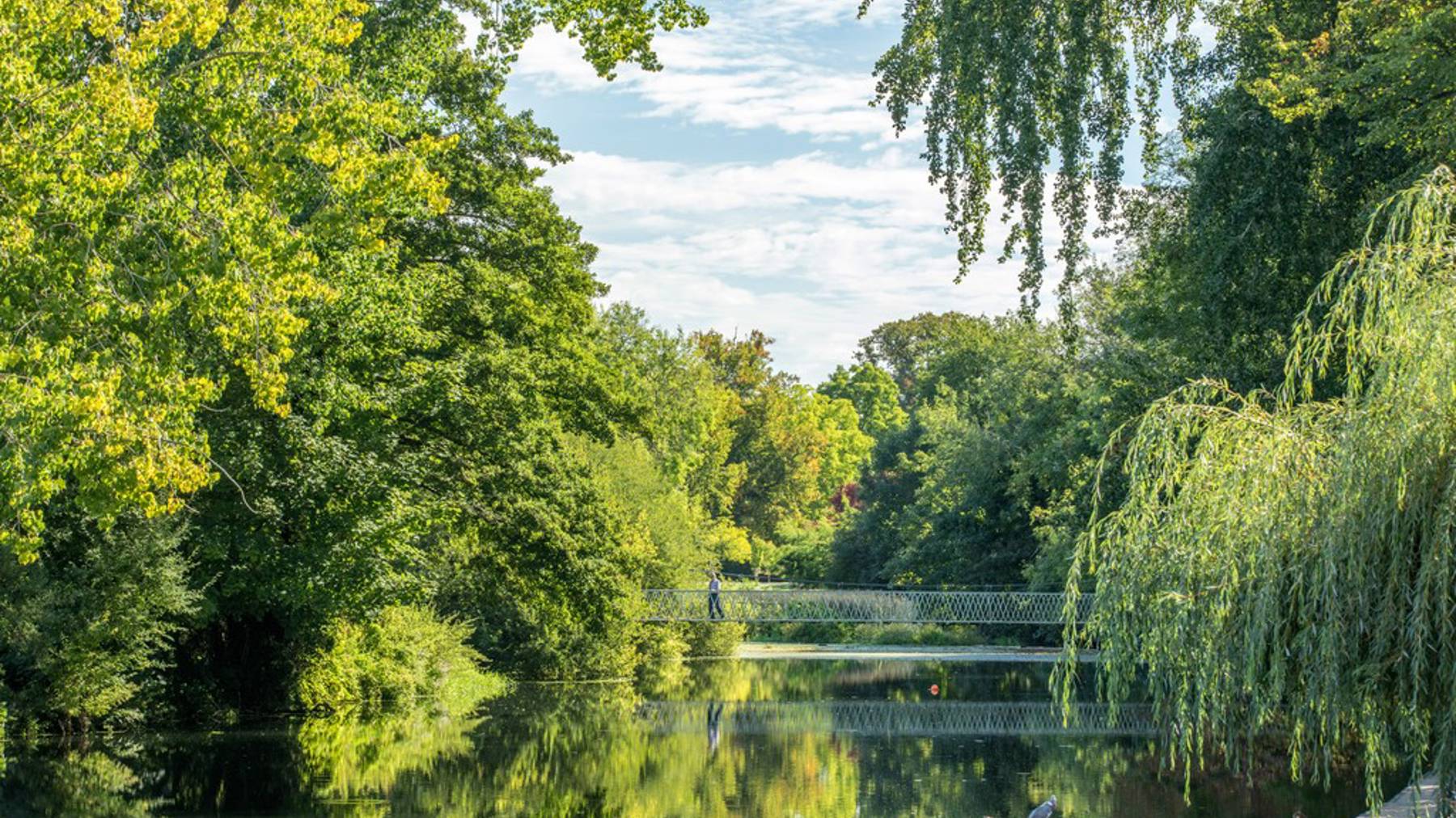 Local area photography in Wimborne and surrounding areas