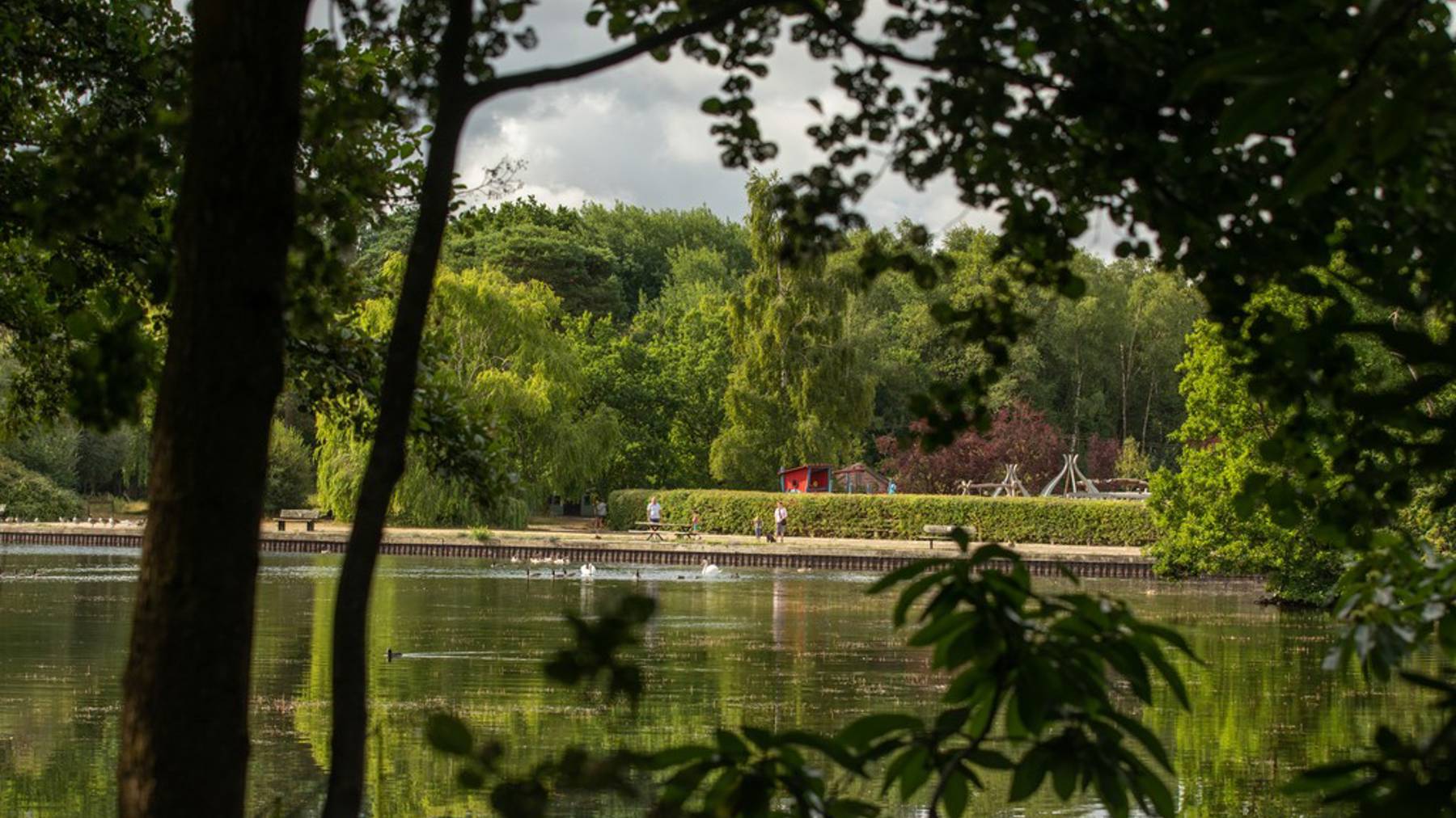 Local area photography for houses for sale in Finchampstead