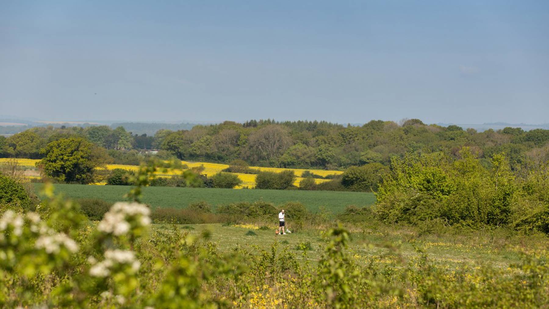 Worting Park | Local area image