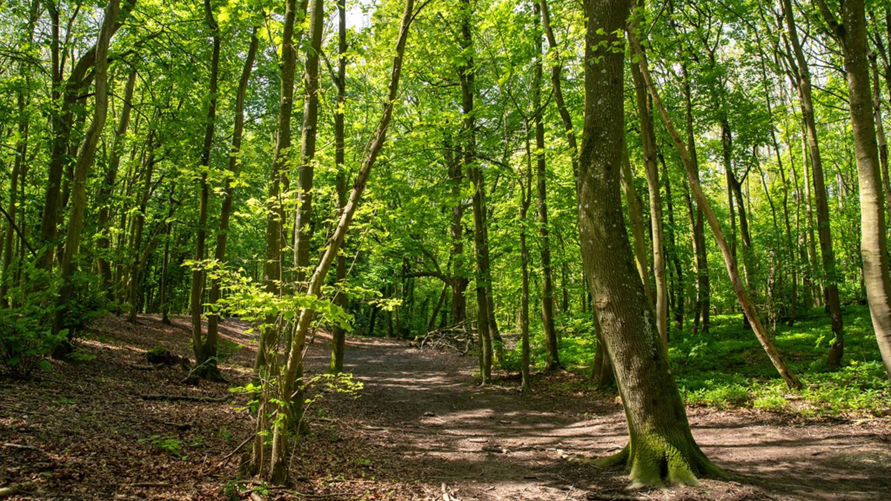 Worting Park | Local area image