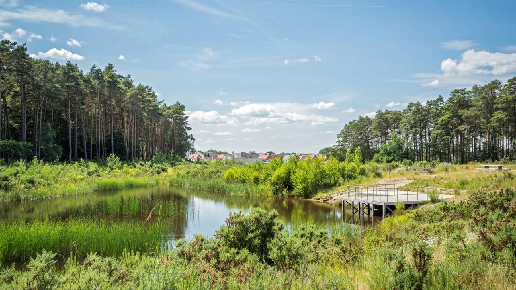 Crowthorne Local Area