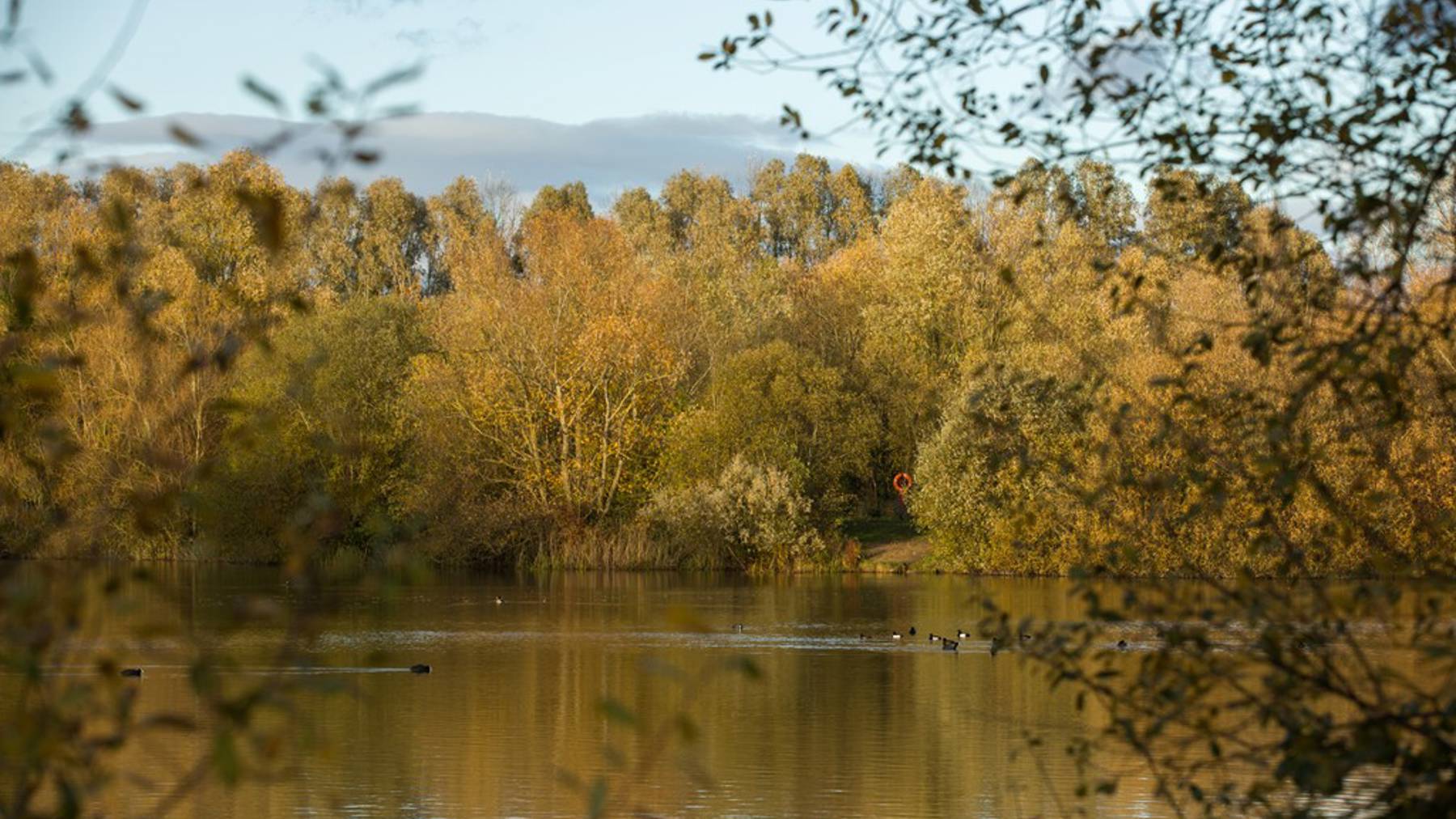 Local area photography for homes for sale in Egham