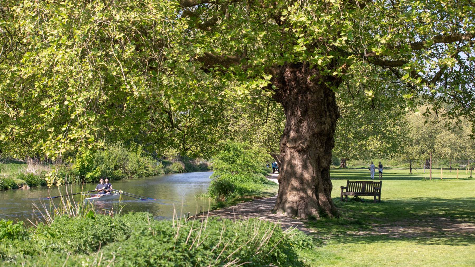 Local area photography for houses for sale in Winchester